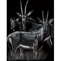 ROYAL & LANGNICKEL Sada 6 stříbrných škrabacích obrázků: Africká zvířata