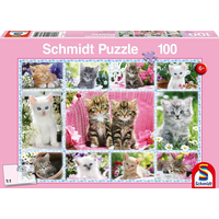 SCHMIDT Puzzle Koťata 100 dílků