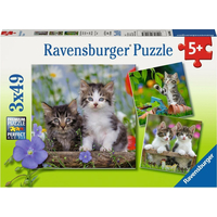 RAVENSBURGER Puzzle Koťata 3x49 dílků