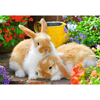 RAVENSBURGER Puzzle Čas na mazlení 2x12 dílků