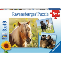 RAVENSBURGER Puzzle Poníci 3x49 dílků
