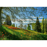 SCHMIDT Puzzle Kvetoucí tulipány na ostrově Mainau 1000 dílků