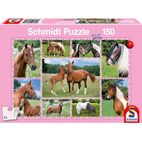 SCHMIDT Puzzle Nádherní koně 150 dílků