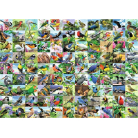 RAVENSBURGER Puzzle 99 úchvatných ptáků EXTRA 300 dílků