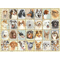 RAVENSBURGER Puzzle Portréty psů 500 dílků