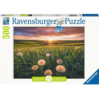 RAVENSBURGER Puzzle Pampelišky v západu slunce 500 dílků