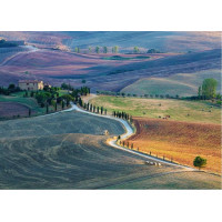 RAVENSBURGER Puzzle Farma Terrapille, Pienza, Siena, Toskánsko 1000 dílků