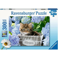 RAVENSBURGER Puzzle Malé kotě XXL 300 dílků