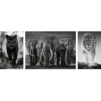 RAVENSBURGER Puzzle Triptych: Panter, sloni, lev 1000 dílků