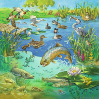 RAVENSBURGER Puzzle Zvířátka ve svých domovech 3x49 dílků