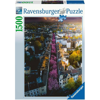 RAVENSBURGER Puzzle Rozkvetlý Bonn 1500 dílků