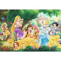 RAVENSBURGER Puzzle Disney princezny a jejich mazlíčci 2x24 dílků