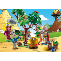 PLAYMOBIL® Asterix 70933 Panoramix s kouzelným lektvarem