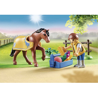 PLAYMOBIL® Country 70523 Sběratelský poník Welshský pony