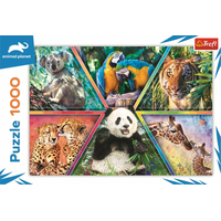 TREFL Puzzle Animal Planet: Království zvířat 1000 dílků