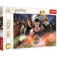 TREFL Puzzle Tajemný Harry Potter 300 dílků