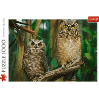 TREFL Puzzle Sovy 1000 dílků