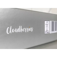 CLOUDBERRIES Puzzle Hands 1000 dílků