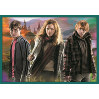 TREFL Puzzle Harry Potter MEGA PACK 10v1