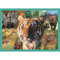 TREFL Puzzle Animal Planet: Záhadný svět zvířat 4v1 (35,48,54,70 dílků)