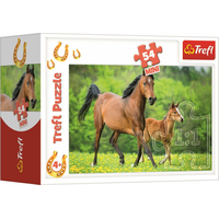 TREFL Displej Puzzle Svět koní 54 dílků (40 ks)