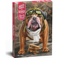 CHERRY PAZZI Puzzle Bon voyage! 1000 dílků