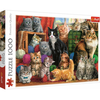 TREFL Puzzle Kočičí setkání 1000 dílků