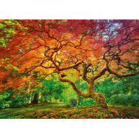 CHERRY PAZZI Puzzle Koruna stromu 1000 dílků