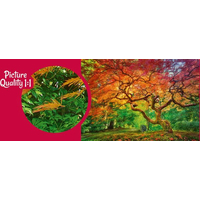 CHERRY PAZZI Puzzle Koruna stromu 1000 dílků