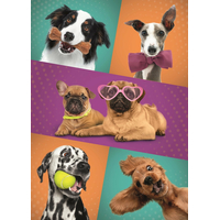 TREFL Puzzle Legrační psi 500 dílků