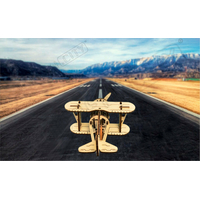 WOODEN CITY 3D puzzle Dvouplošník 63 dílů
