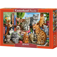 CASTORLAND Puzzle Kočičí dům 2000 dílků