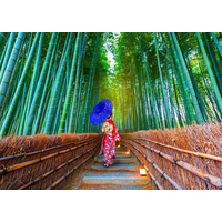 ENJOY Puzzle Asijská žena v bambusovém lese 1000 dílků
