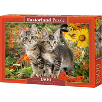 CASTORLAND Puzzle Kočičí přátelé 1500 dílků