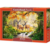 CASTORLAND Puzzle Královská rodina 1000 dílků