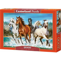 CASTORLAND Puzzle Volání přírody 2000 dílků