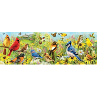 EUROGRAPHICS Panoramatické puzzle Zahradní ptáci 1000 dílků