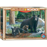 EUROGRAPHICS Puzzle Nové objevy 1000 dílků