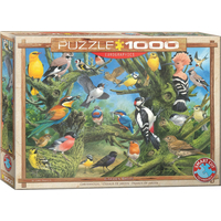 EUROGRAPHICS Puzzle Ptáci v zahradě 1000 dílků