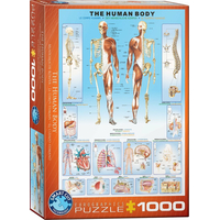 EUROGRAPHICS Puzzle Lidské tělo 1000 dílků