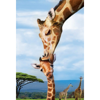 EUROGRAPHICS Puzzle Save Our Planet: Žirafy XL 250 dílků