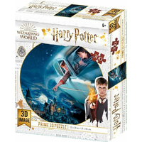 PRIME 3D Puzzle Harry Potter: Harry a Ron nad Bradavicemi 3D 300 dílků
