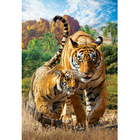EUROGRAPHICS Puzzle Save Our Planet: Tygři XL 250 dílků