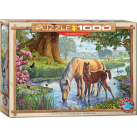 EUROGRAPHICS Puzzle Fellští poníci 1000 dílků