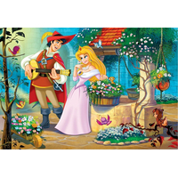 EUROGRAPHICS Puzzle Píseň pro princeznu 100 dílků