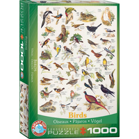 EUROGRAPHICS Puzzle Ptáci 1000 dílků