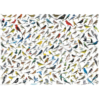 EUROGRAPHICS Puzzle Svět ptáků 1000 dílků