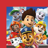 CLEMENTONI Puzzle Frame Me Up Tlapková patrola 60 dílků