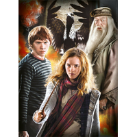 CLEMENTONI Puzzle Harry Potter 3x1000 dílků