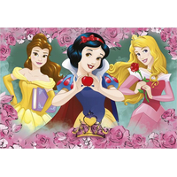 DINO Puzzle Disney princezny 2x77 dílků